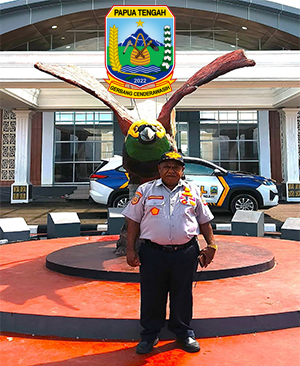 Sambutan